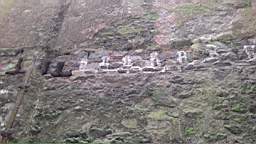 acastle
                          100565.jpg